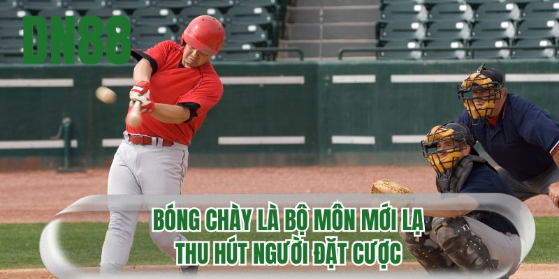 Bóng chày là bộ môn mới lạ thu hút người đặt cược