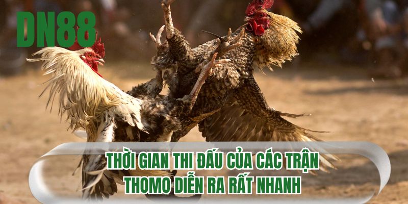 Thời gian thi đấu của các trận Thomo diễn ra rất nhanh